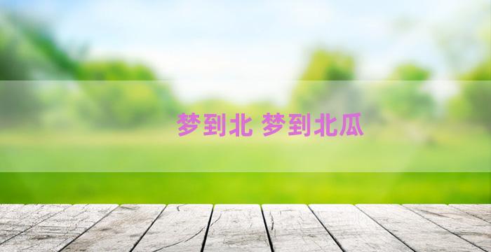 梦到北 梦到北瓜